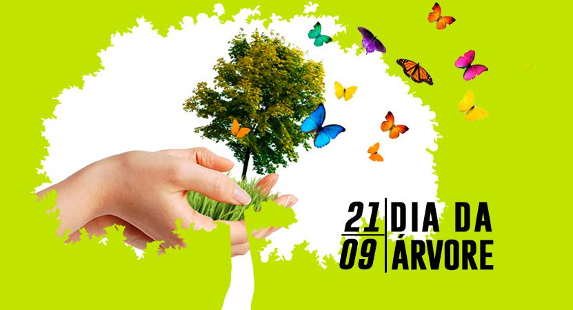 Secretaria de Meio Ambiente comemora o Dia Mundial da Árvore