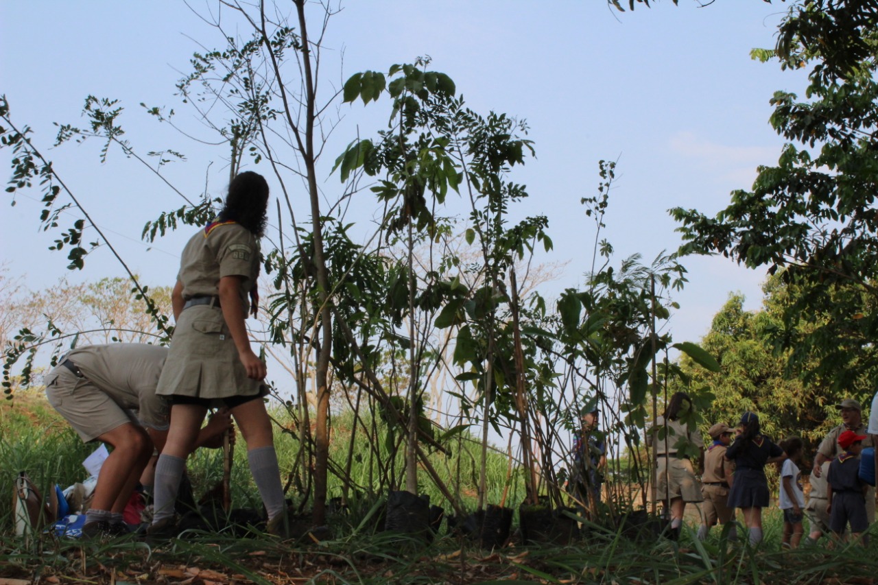Secretaria de Meio Ambiente comemora o Dia da Árvore - FOTOS