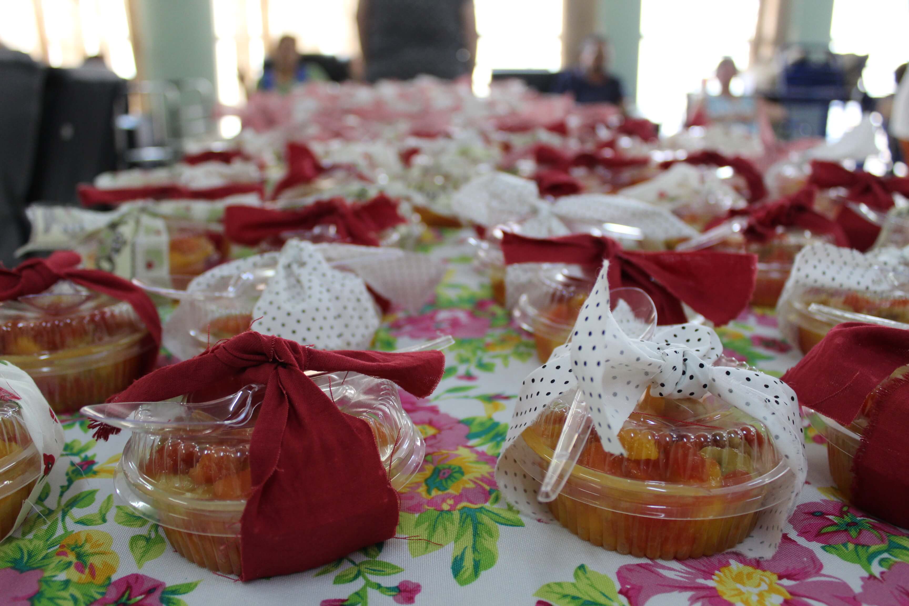 Fundo Social de Solidariedade realiza Semana do Idoso - Comemoração no Centro Dia do Idoso - FOTOS