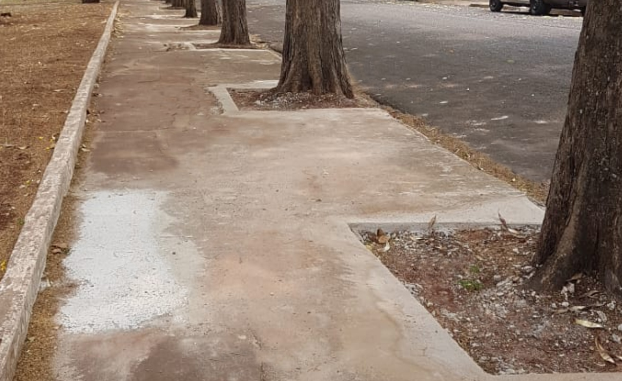 Prefeitura desenvolve projetos voltados ao meio ambiente