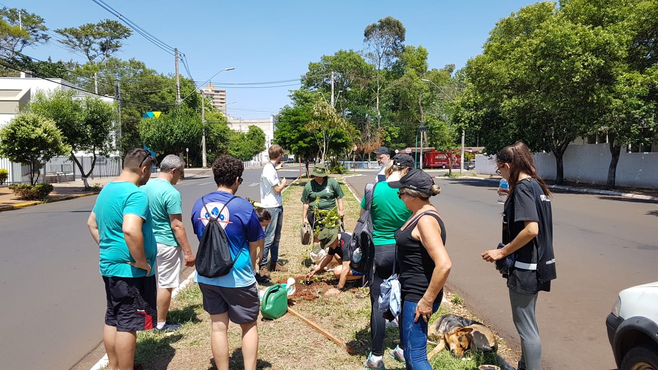 Prefeitura realiza plantio de árvores