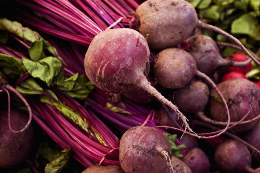 Produtos à venda em hortas municipais nesta quinta-feira, 11/02