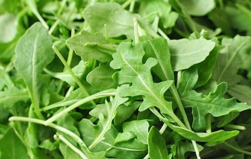 Hortas Municipais: produtos à venda nesta terça-feira, 31/03
