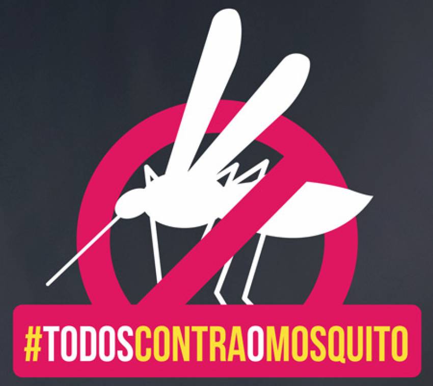 Ações de combate ao Aedes Aegypti - período de 13 a 17 de abril