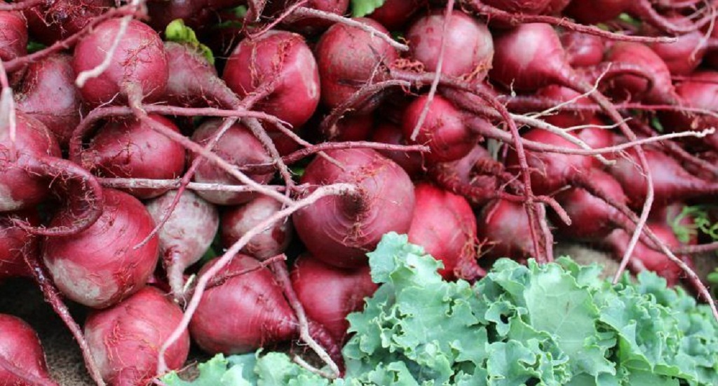 Produtos à venda nas hortas municipais na próxima terça-feira, 2/06
