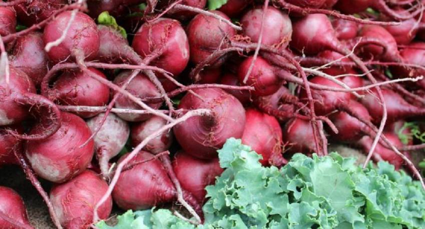 Produtos à venda nas hortas municipais na próxima terça-feira, 2/06