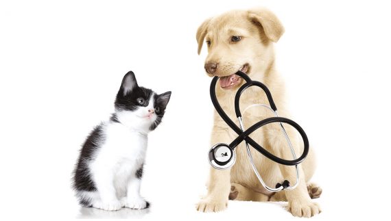 Prefeitura de Jahu reinaugura Clínica Veterinária Municipal