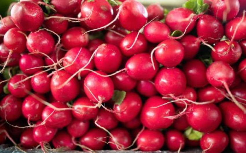 Produtos disponíveis para venda nesta terça-feira, 16/06, nas hortas municipais