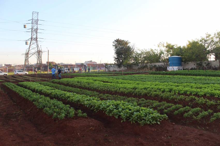 Nova horta municipal: Jardim Padre Augusto Sani - FOTOS