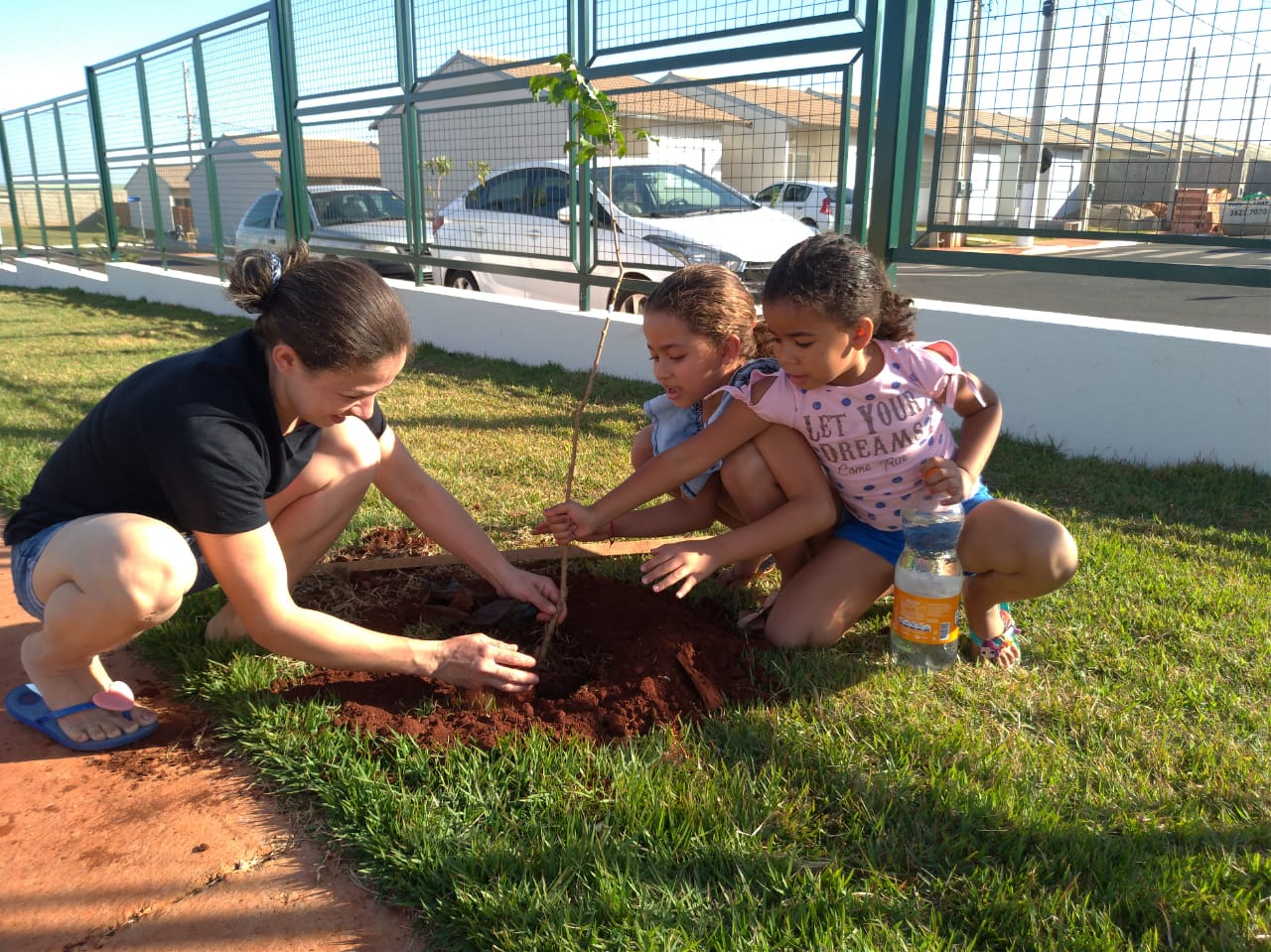 Plantio de árvores é realizado por moradores de condomínio