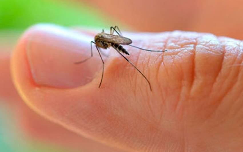 Intensificação casa a casa no combate ao mosquito Aedes Aegypti - período de 20 a 24 de julho