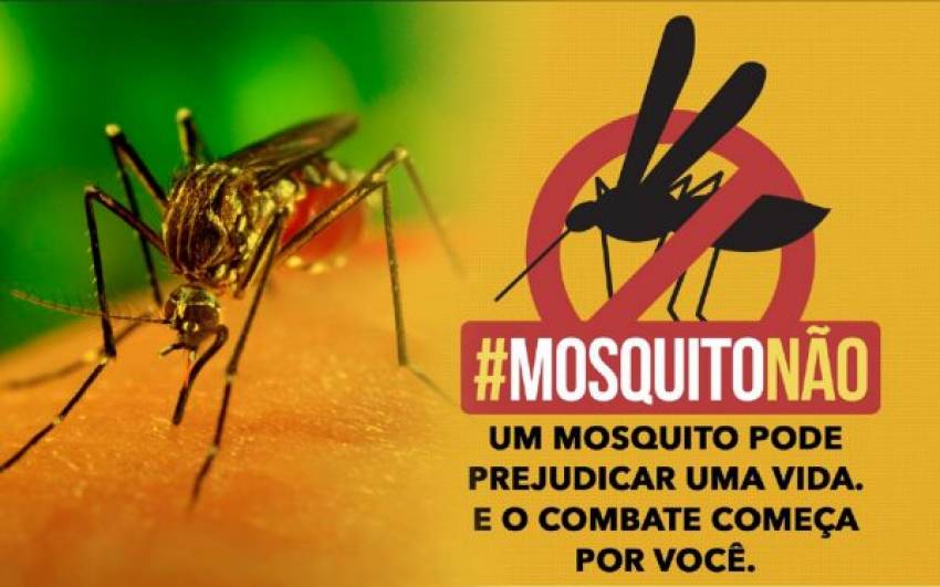 Intensificação casa a casa no combate ao mosquito Aedes Aegypti - período de 03 a 07 de agosto