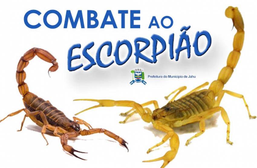 Prefeitura de Jahu solicita auxílio no combate ao escorpião
