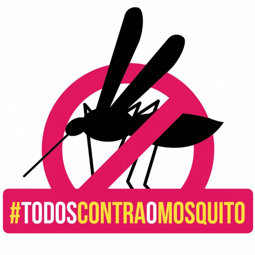 Intensificação casa a casa no combate ao mosquito Aedes Aegypti - período de 31 de agosto a 04 de setembro