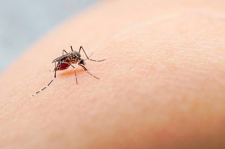 Intensificação casa a casa no combate ao mosquito Aedes Aegypti - período de 14 a 18 de dezembro