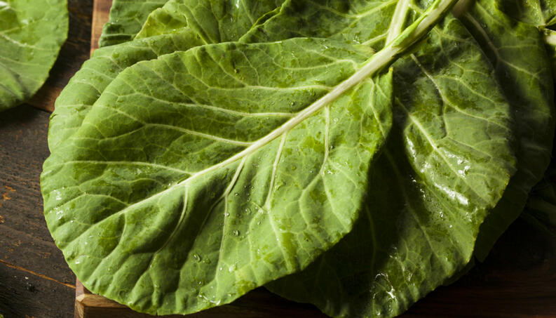 Produtos à venda nas hortas municipais nesta quinta-feira, 17/12