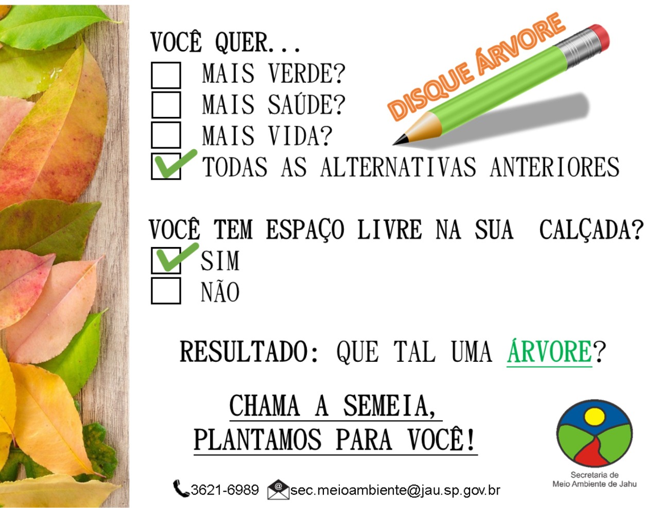 DISQUE ÁRVORE!!!! VAMOS DEIXAR JAÚ MAIS VERDE!