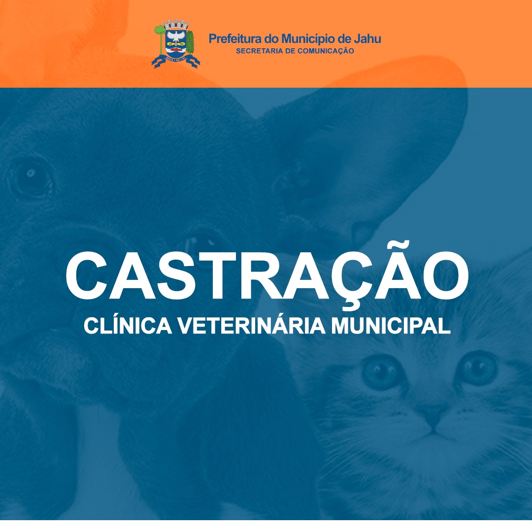 JAHU TEM PROGRAMA DE CASTRAÇÃO DE ANIMAIS