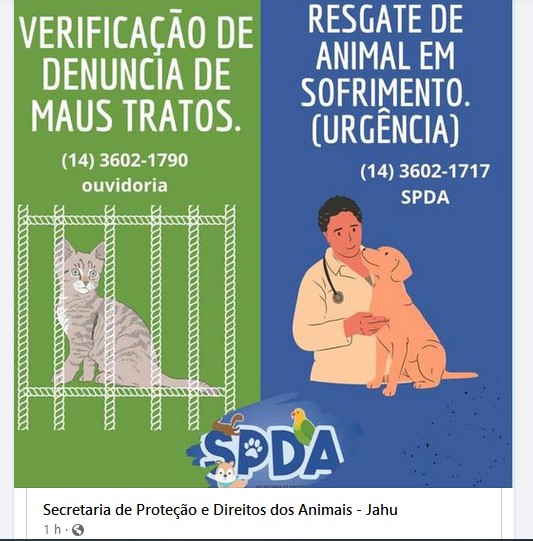 SECRETARIA ALTERA MÉTODOS PARA AGILIZAR ATENDIMENTO A ANIMAIS