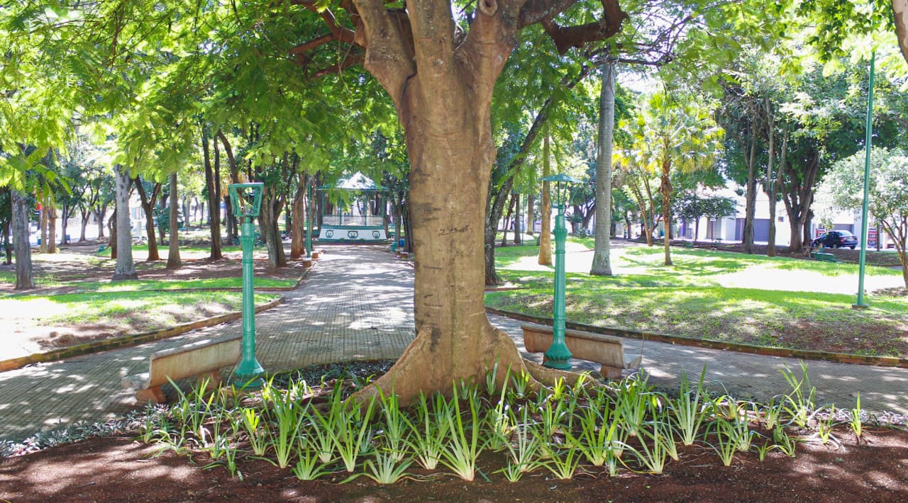 JARDIM DE BAIXO PASSA POR REVITALIZAÇÃO PAISAGÍSTICA