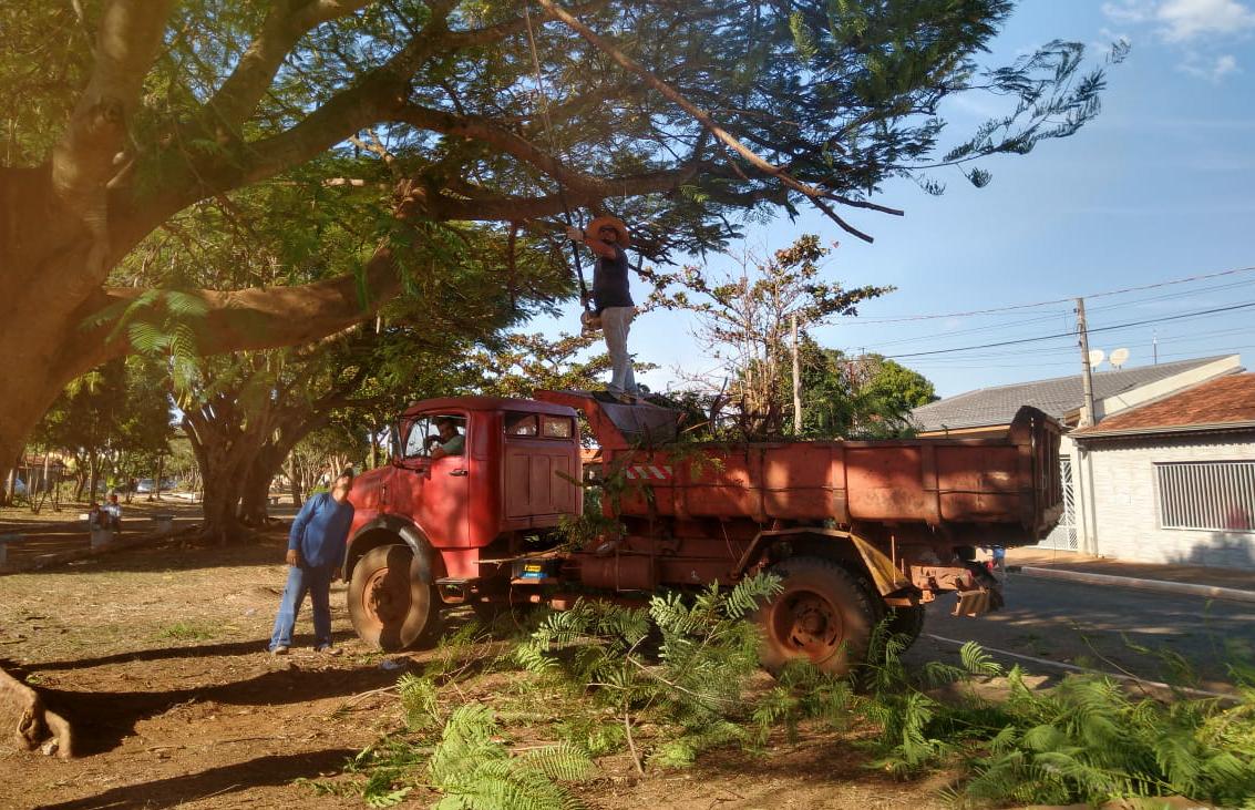 ÁRVORES SÃO PODADAS NA PRAÇA DA OLARIA EM POTUNDUVA