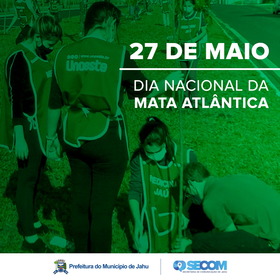 ÁRVORES SÃO PLANTADAS EM CANTEIRO DA JOÃO FRANCESCHI