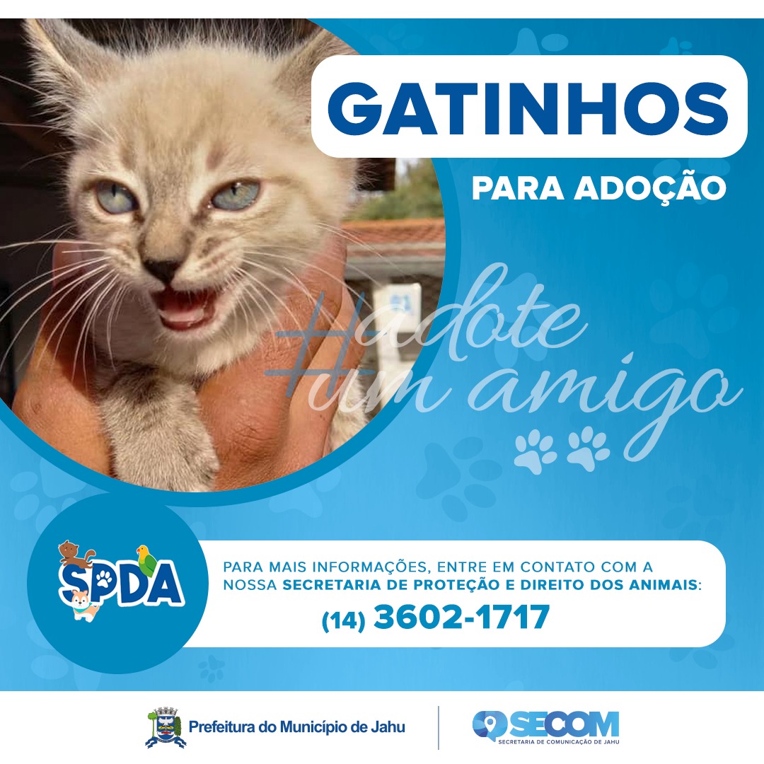 Adote um amigo