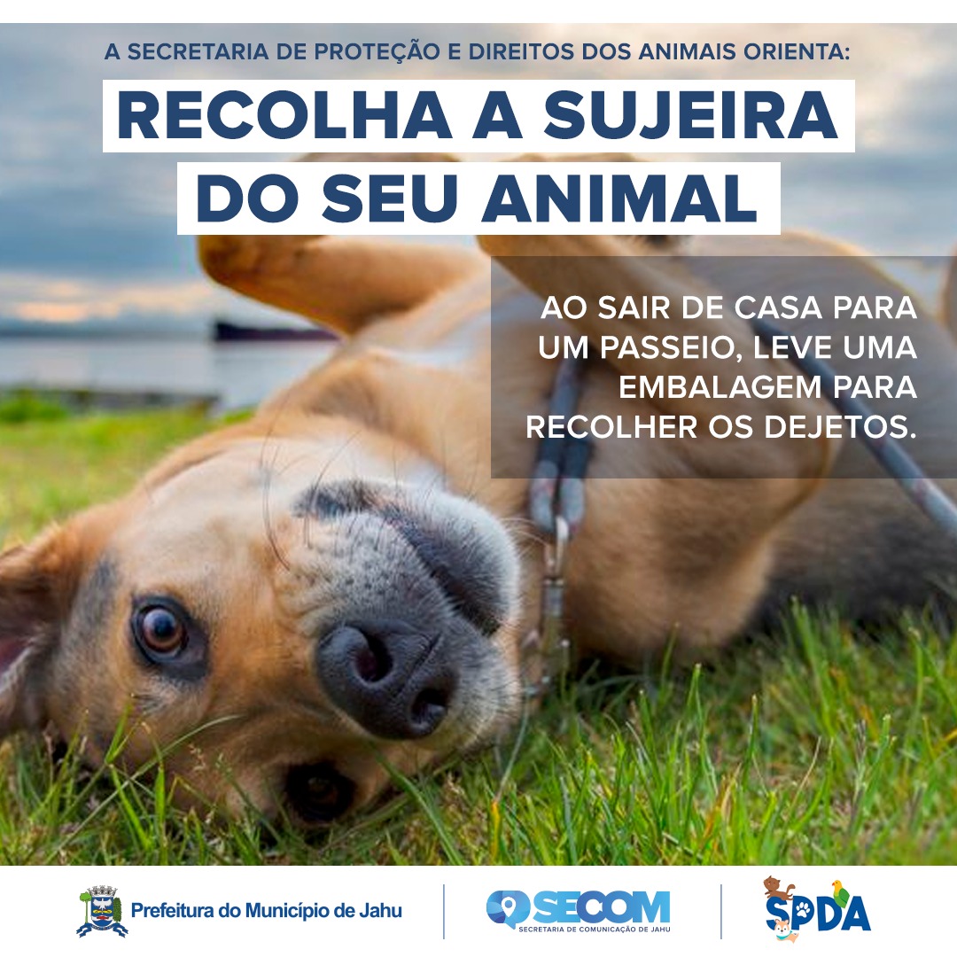 Passeio com seu pet? Leve a sacolinha