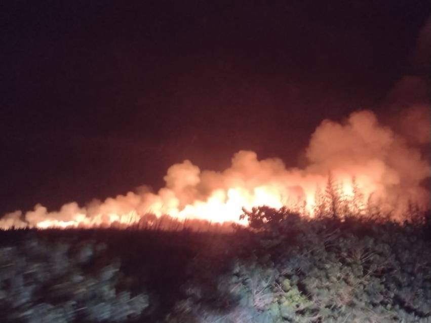 INCÊNDIO DE GRANDE PROPORÇÃO ATINGE CANAVIAL NA REVISÃO AGRÁRIA
